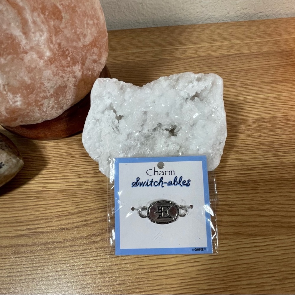 New! Ganz Switch-ables “E” Charm
